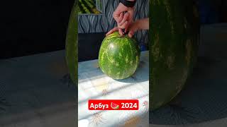 Арбуз 🍉 2024