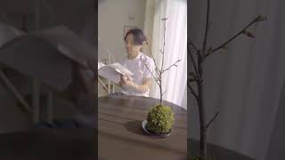 植物のある暮らし Part. 1 #shorts