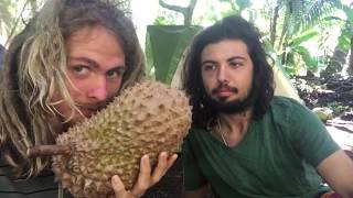 Durian Breakfast In Hawaii!