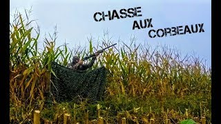 Chasse aux CORBEAUX 2017  (Magnifique Triplé)