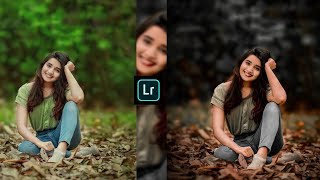 Description Dark Brown And Blue Tone Lightroom Photo Editing | LightroomEditing @ShaileshEditingzone