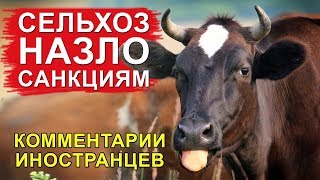 СЕЛЬСКОЕ ХОЗЯЙСТВО НАЗЛО САНКЦИЯМ - Комментарии иностранцев