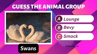 Animal group names |Animal quiz |general knowledge #guesswithme #quiztime #animalsquiz #ytvideo