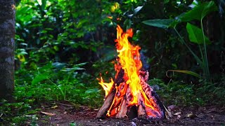 4K UHD Sunset Campfire by the River - 10h Relaxing Crackling Fire & Nature Sounds (High Quality)