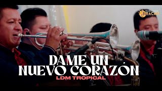 LDM Tropical - Dame Un Nuevo Corazón (En Vivo)