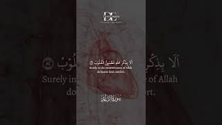 Surely in the remembrance of Allah do hearts find comfort.Surah Ar Ra'd-28#quran #ytshorts #allah