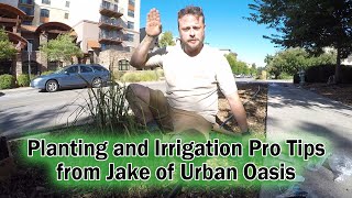 Pro Planting & Irrigation Tips from Urban Oasis