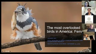 The most overlooked birds in America: Females