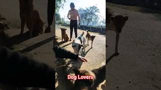 Dog lovers #ytshorts #shortsvideo #dog #doglover