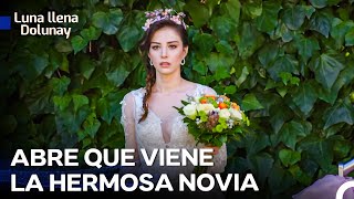 Nazlı Camina Hacia El Matrimonio Paso A Paso - Luna llena