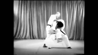 T. Suzuki - Wado Ryu Karate Ohyo Gumite No. 4