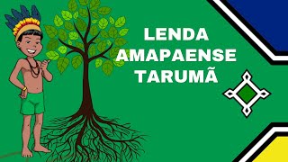 🟢LENDA AMAPAENSE TARUMÃ