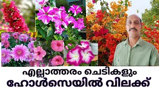 Amazing flowering plant nursery in India || Plant Nursery Visit || Low price plant nursery #rose /