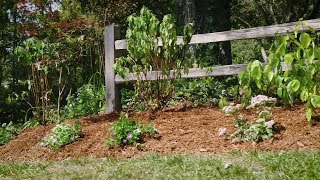 Fiskars® - Foundation Plants for Eye-Catching Front Yard Curb Appeal