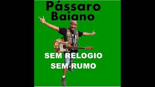 SEM RELOGIO SEM RUMO!!!!!!!