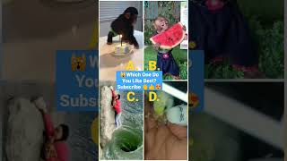 youtube - tiktok best video - funny animals videos 2023 - a b c -   5 minutes craft - ASMR - obit