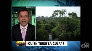 Arde el Amazonas, ¿puede detenerse el fuego    CNN