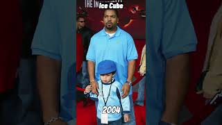 Ice Cube Evolution