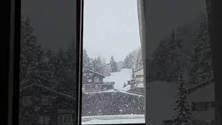 Beautiful Winyer Window View with Snowfall #youtubeshorts #short #shorts