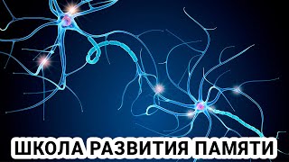 Последовательность этапов развития мышления