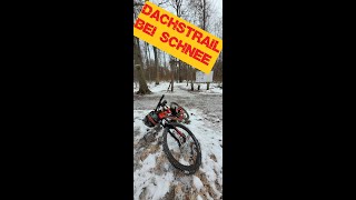 DACHSTRAIL BEI SCHNEE