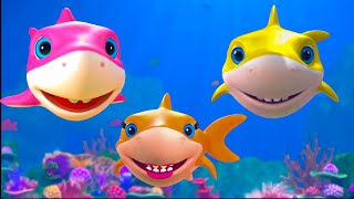 Bébé requin Doo Doo Doo et plus de chansons pour enfants