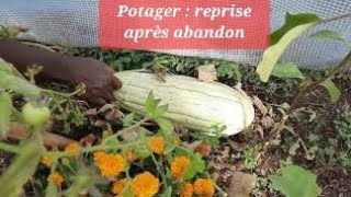 Potager abandonné pendant la canicule #àquandlautonomie?