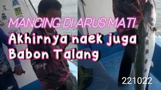 FISH ON ||| arus mati mancing di kepulauan 1000 Ikan talang talang 7 kg landed