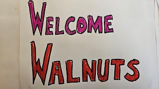 Welcome Walnuts: CPTSD, Autism & Other Stuff 8-21-24 #autism #cptsd #short #shorts