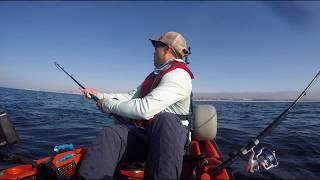 Trolling with artificial lures - Rapala X-Rap 14