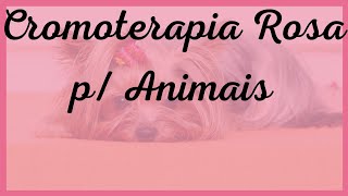 Cromoterapia Rosa + Musicoterapia Relaxamento - Para Animais