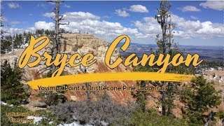 Utah Trip 2019: Bryce Canyon (Yovimpa Point and Bristlecone Pine Loop Trail)