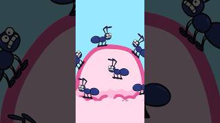 Eek! The Ants are Everywhere – Hooray Kids Songs #shorts #kidssong #animals #ants