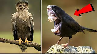 15 WEIRD BIRDS YOU WON'T BELIEVE EXIST!