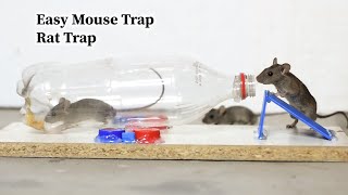 Easy Mouse Trap | Rat Trap | Rat Trap Homemade | Water Bottle Best Mouse Trap