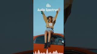 FotoPlay Audio Spectrum