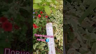 Вітаю ПІДПИШИСЬ SUBSCRIBE#garden#tiktok#plants#homegarden#homegrown#hortensje#diygardening#гортензія