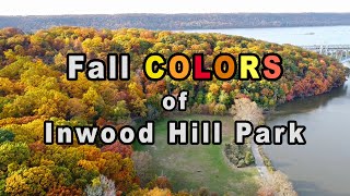 Fall colors of Inwood Hill Park, Manhattan