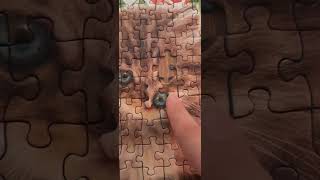 ❤🧩Last piece challenge❤🧩 #oddlysatisfying #jigsawpuzzle #puzzles #ingridlovespuzzles #funchallenge