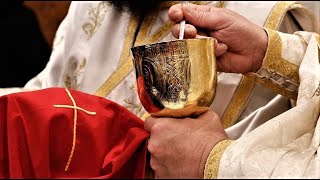 Shouldn't we just let the non-Orthodox receive Communion?