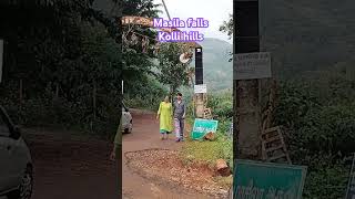 Masila falls from kolli hills,/Diwali special travel vlog /#shorts/#shortsfeed