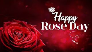 Happy Rose 🌹 Day 2023 | Rose Day 2023 Status | Rose Day 2023 Whatsapp Status Video