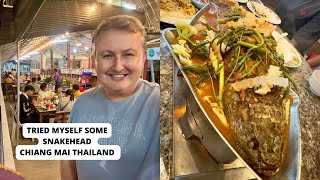 Tried myself Snake Head - Review of Im-Pla-Phao Restaurant Chiang Mai Thailand