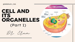 Cell and its Organelles (part 1) (Dr. Erum GSA Lectures)