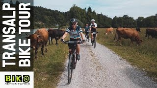 Crossing the Alps | Munich to Garda