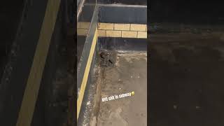 NYC shit in subway 😅 #newyorkcity #nyc #manhattan #subway #funny #funnyshorts