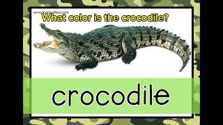 [Super Minds 1] Unit 3: Camouflage "What color is the (animal)?