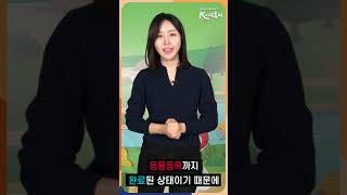 새로운 데이트 장소가 필요한 커플들 주목!! #입양쉼터 #데이트추천