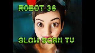 0089 Toonify SSTV Robot36