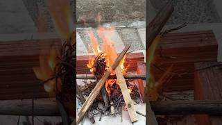 BBQ at home like the old times #rural #rurallife #sardegna #island #bbq #italy